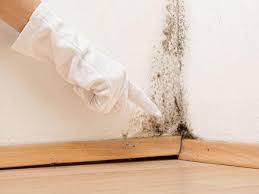 Best Residential Mold Inspection & Testing  in East Glenville, NY